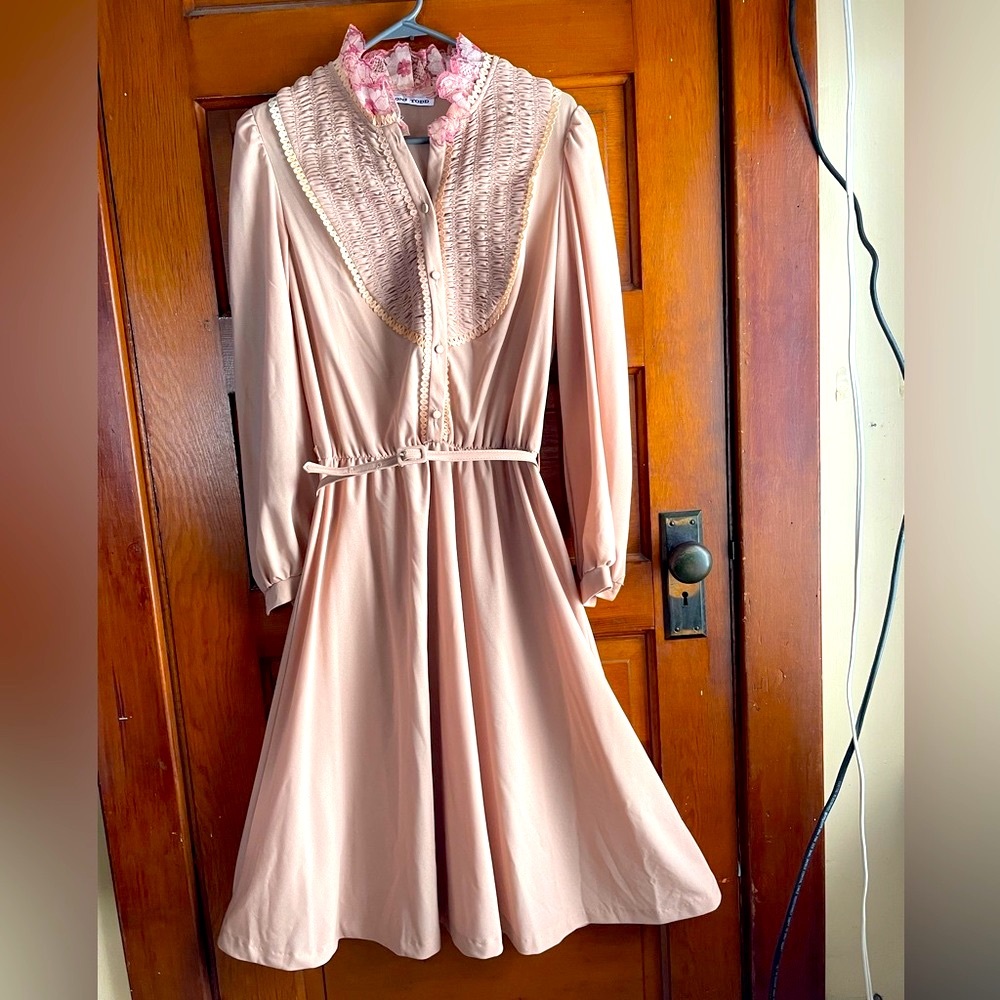 Dusty Rose Vintage Toni Todd 1970s lace and ruffled dress